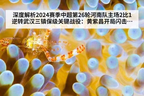 深度解析2024赛季中超第26轮河南队主场2比1逆转武汉三镇保级关键战役:黄紫昌开局闪击与科维奇点球致胜的战术布局及比赛影响