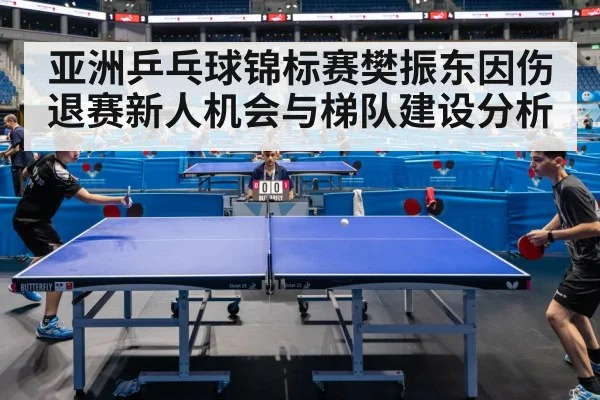 亚洲乒乓球锦标赛樊振东因伤退赛新人机会与梯队建设分析
