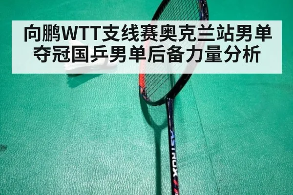 向鹏WTT支线赛奥克兰站男单夺冠国乒男单后备力量分析