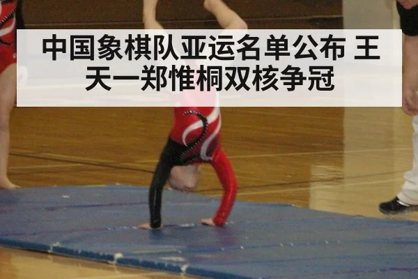 中国象棋队亚运名单公布 王天一郑惟桐双核争冠